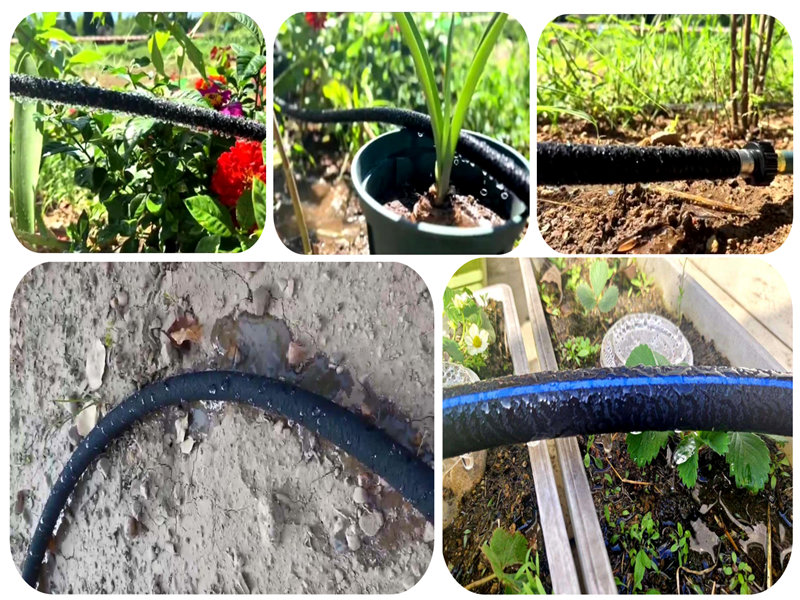 Zastosowanie rur nawadniania nano w piaszczystej nawadnianiu gleby